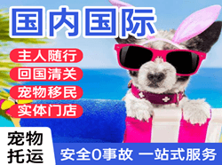 扎兰屯机场物流国际宠物托运 【国
